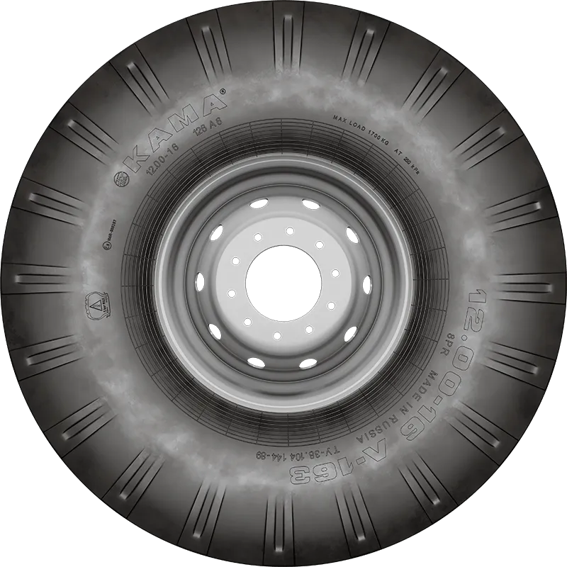 Л-163 в Дудинке — KAMA TYRES Л-163 в Дудинке